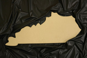 Kentucky mdg